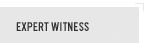 Expert Witness Tab